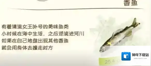 蜡笔小新煤炭镇的小白步道