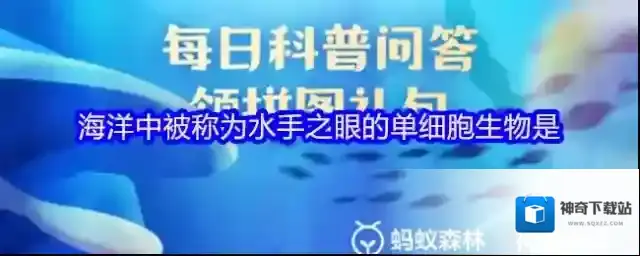 支付宝之眼