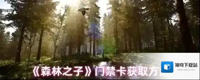 森林之子门禁卡