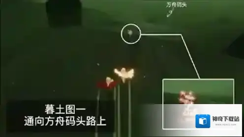 光遇赏花任务怎么完成？光遇花憩节赏花任务完成方法