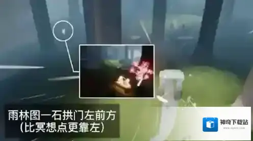 光遇赏花任务怎么完成？光遇花憩节赏花任务完成方法