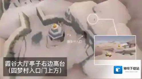 光遇赏花任务怎么完成？光遇花憩节赏花任务完成方法