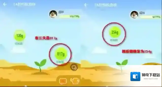《支付宝》蚂蚁森林获得方法一览
