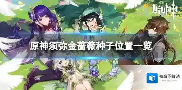原神金蔷薇