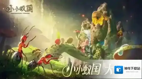 小小蚁国怎么获取