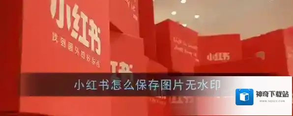 小红书红薯库