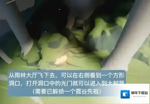 光遇宝库