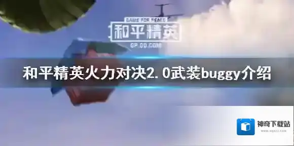 和平精英武装