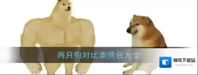 自制表情包两只狗