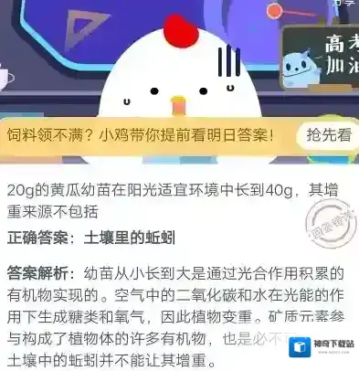 20g的黄瓜幼苗在阳光适宜环境中长到40g，其增重来源不包括
