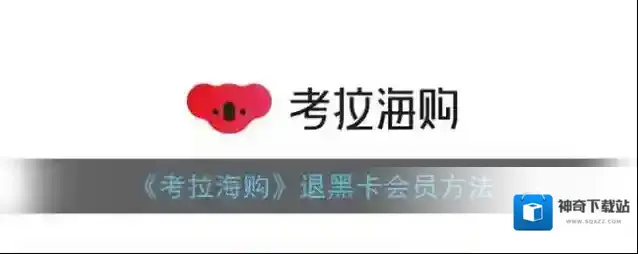网易考拉海购考拉海购