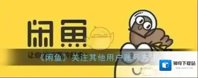 闲鱼关注