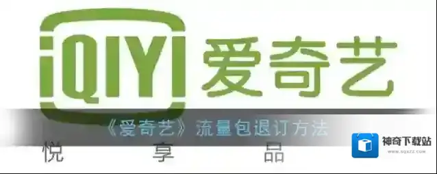 爱奇艺视频杜比音效