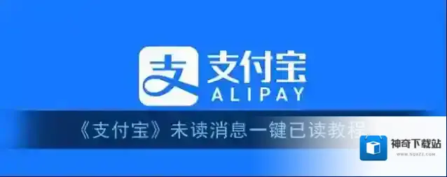 支付宝已读