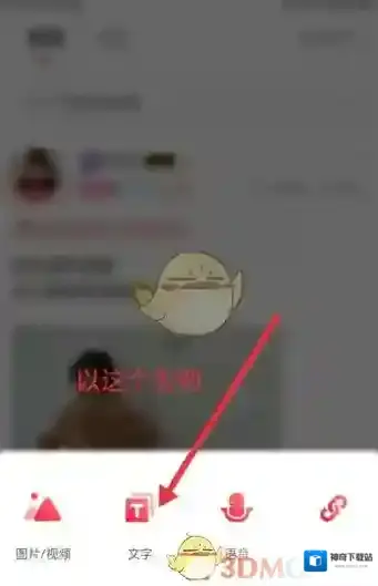 Nico选项