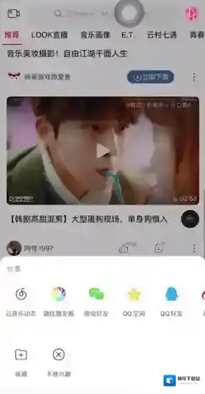 网易云音乐选项