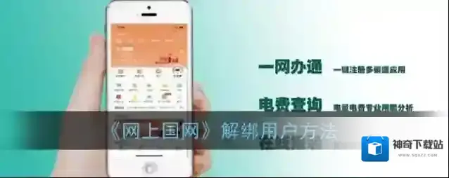 网上国网户号