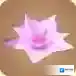 迷你世界荷花