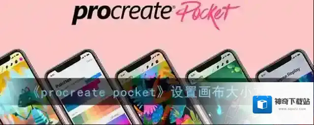 Procreate Pocket画布
