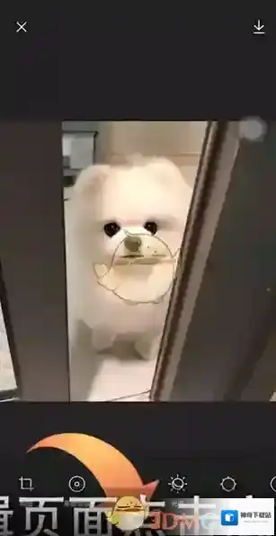 醒图选项