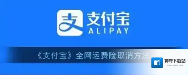 支付宝全网