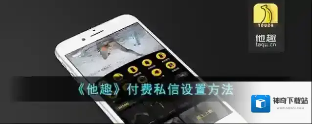 他趣趣豆