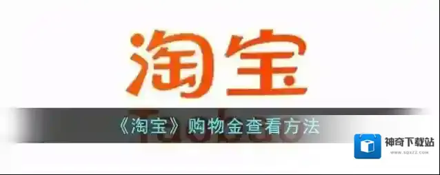 淘宝网购物