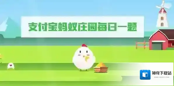 支付宝大越