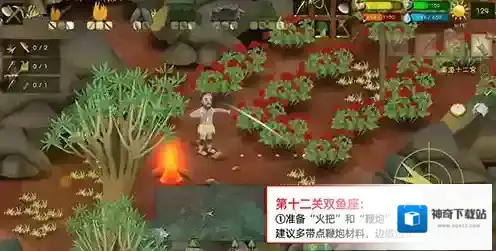 挨饿荒野挨饿德
