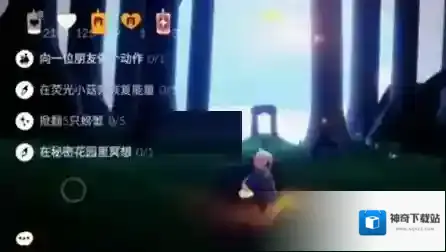 光遇雨林
