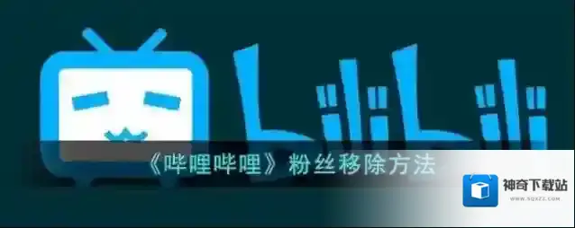 哔哩哔哩粉丝