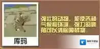 疯狂动物园驼鹿