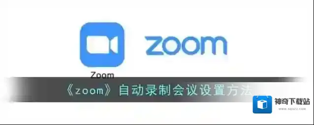 Zoom选项