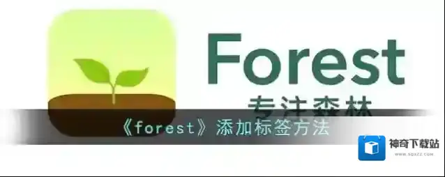 Forest标签