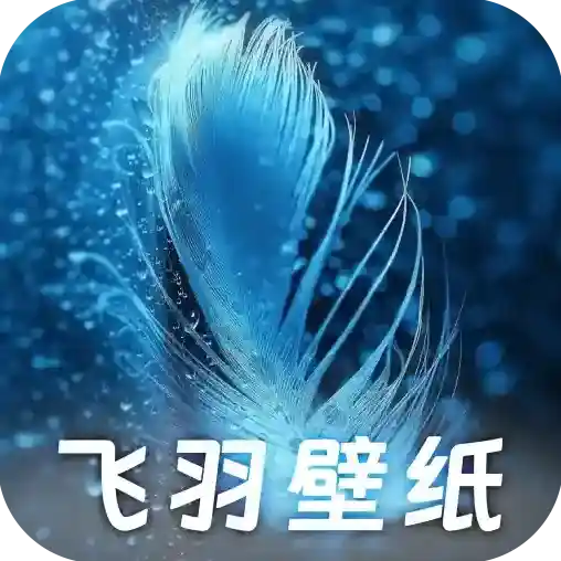 飞羽壁纸官方最新版