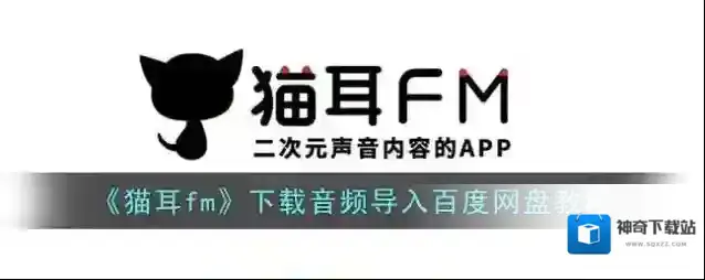 猫耳FM格式