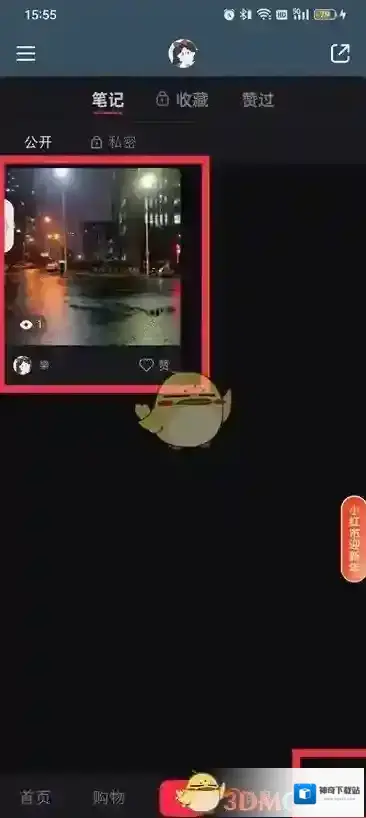 小红书页面