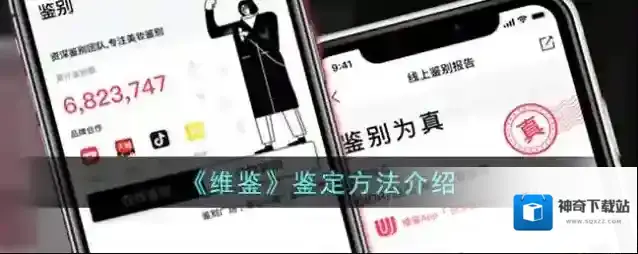 雅鉴维鉴