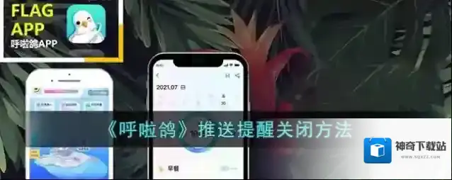 呼啦鸽点击