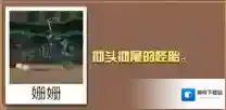 疯狂动物园异形虎怎么抓 异形虎属性图鉴