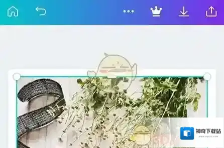 Canva 可画翻转
