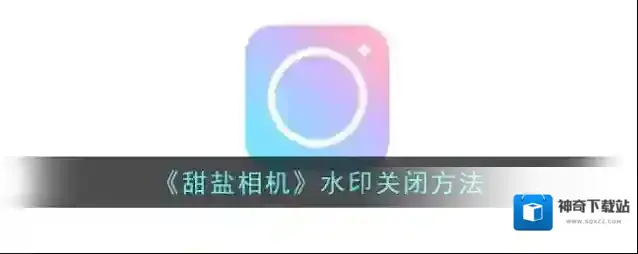 甜盐相机水印