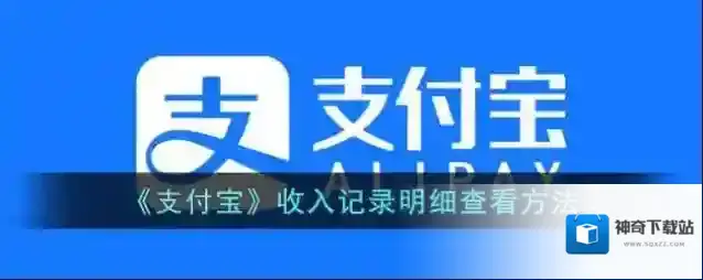 支付宝如图
