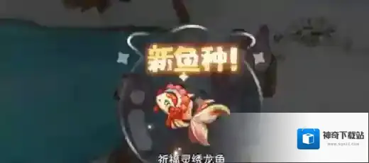 奥比岛梦想国度钓鱼