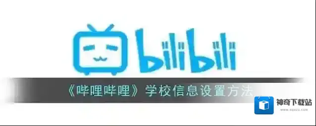 哔哩哔哩信息