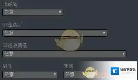 Steam类型
