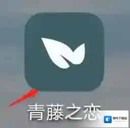 青藤之恋打开手机