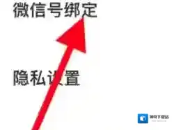 青藤之恋屏幕