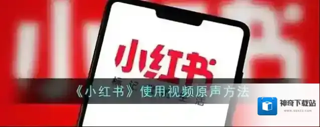 小红书就可以