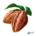 FGO可可